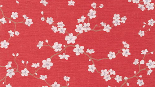 SAKURA T75513